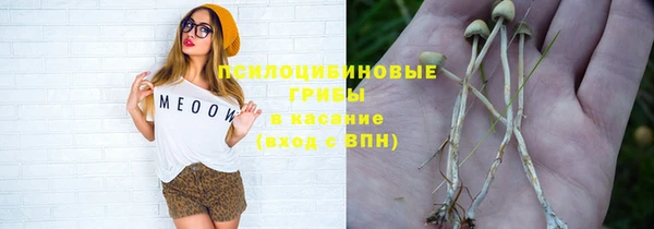 прущий лед Елабуга