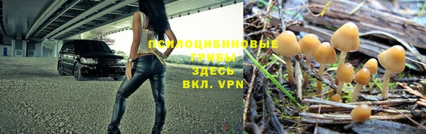 прущий лед Елабуга