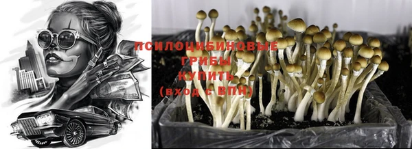 прущие крисы Елизово