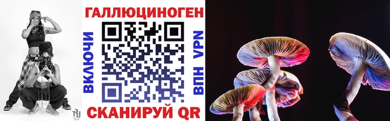 Псилоцибиновые грибы Psilocybe  даркнет формула  Сланцы 