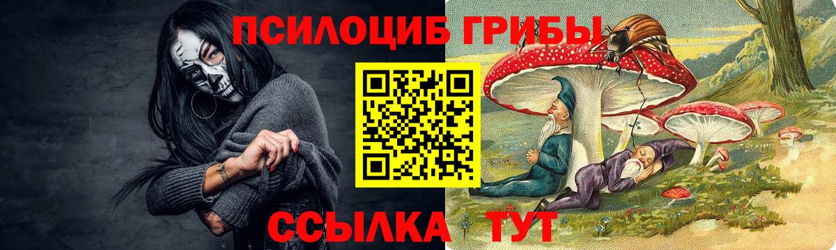 Сланцы  Галлюциногенные грибы Psilocybe  где купить наркоту  Псилоцибиновые грибы Psilocybine cubensis  Вход с VPN 