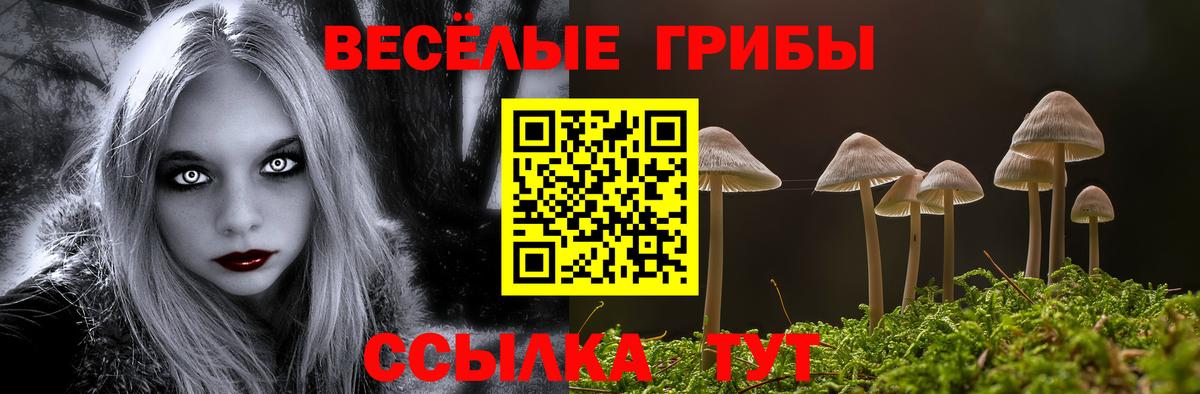 Галлюциногенные грибы Psilocybine cubensis Сланцы
